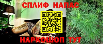 марки nbome Сланцы