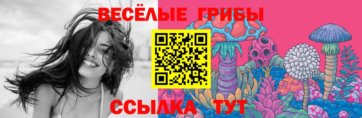 Павловский Посад  Псилоцибиновые грибы Cubensis  Вход с VPN 