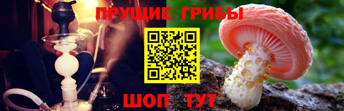 Псилоцибиновые грибы прущие грибы Павловский Посад